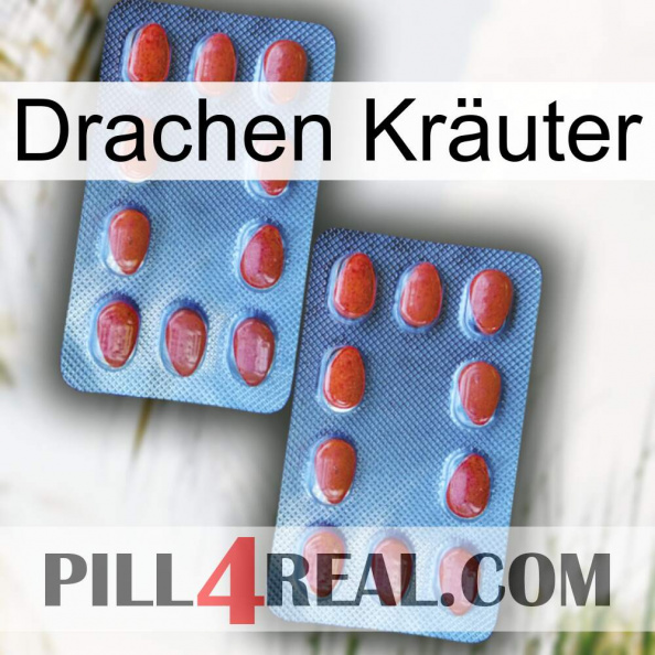 Drachen Kräuter 05.jpg